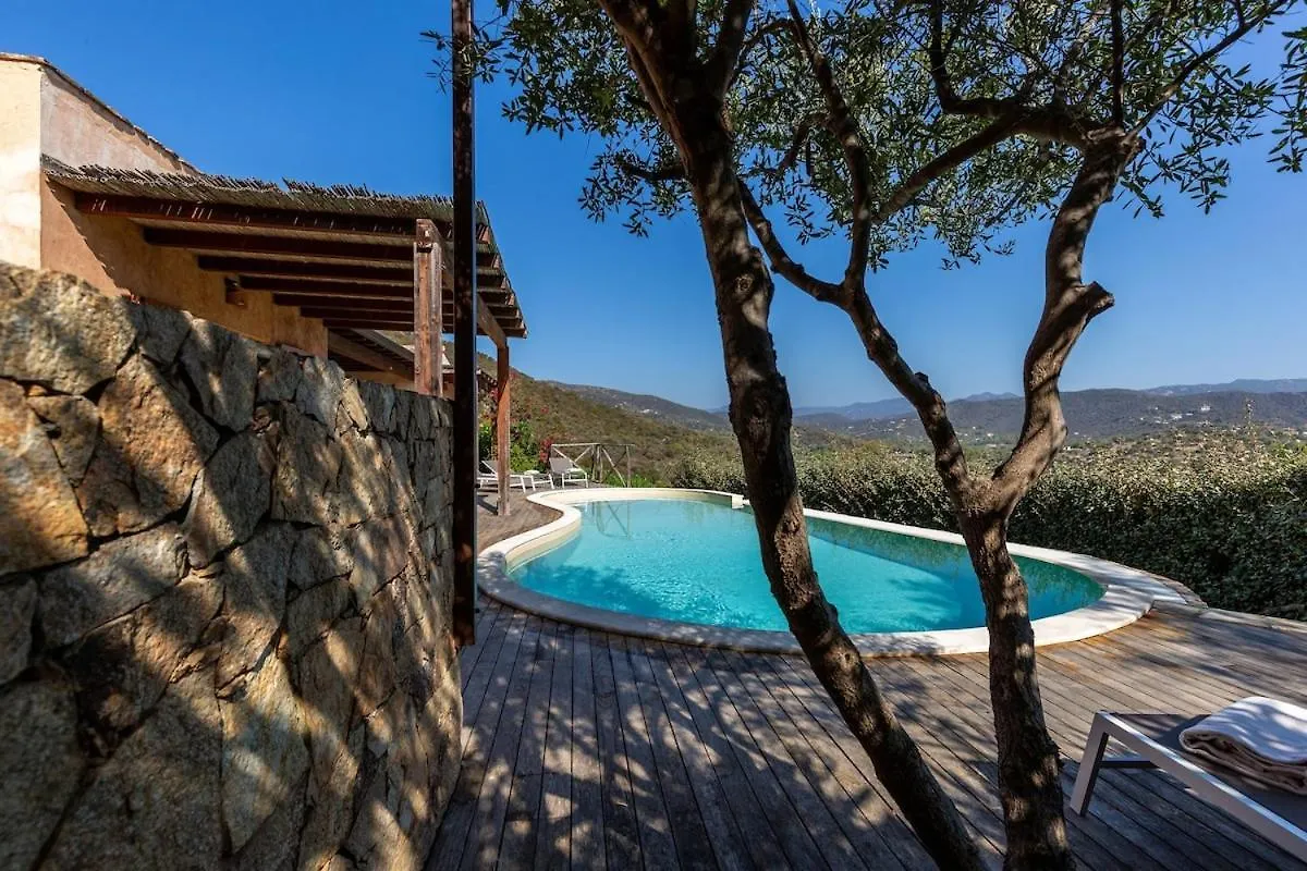 Prázdninový dům Villa Leone With Pool & Views, Newly Furnished Chia Itálie